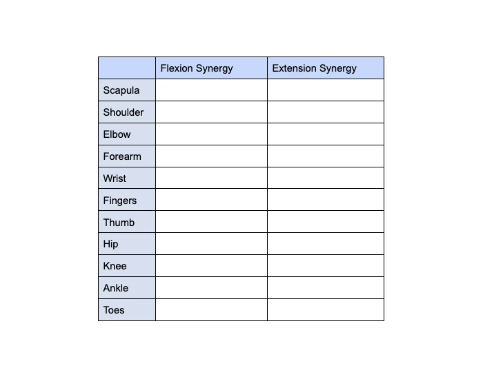 Extensor Synergy Arm Pattern Flexion/Extension Synergy Patterns — Printable Worksheet