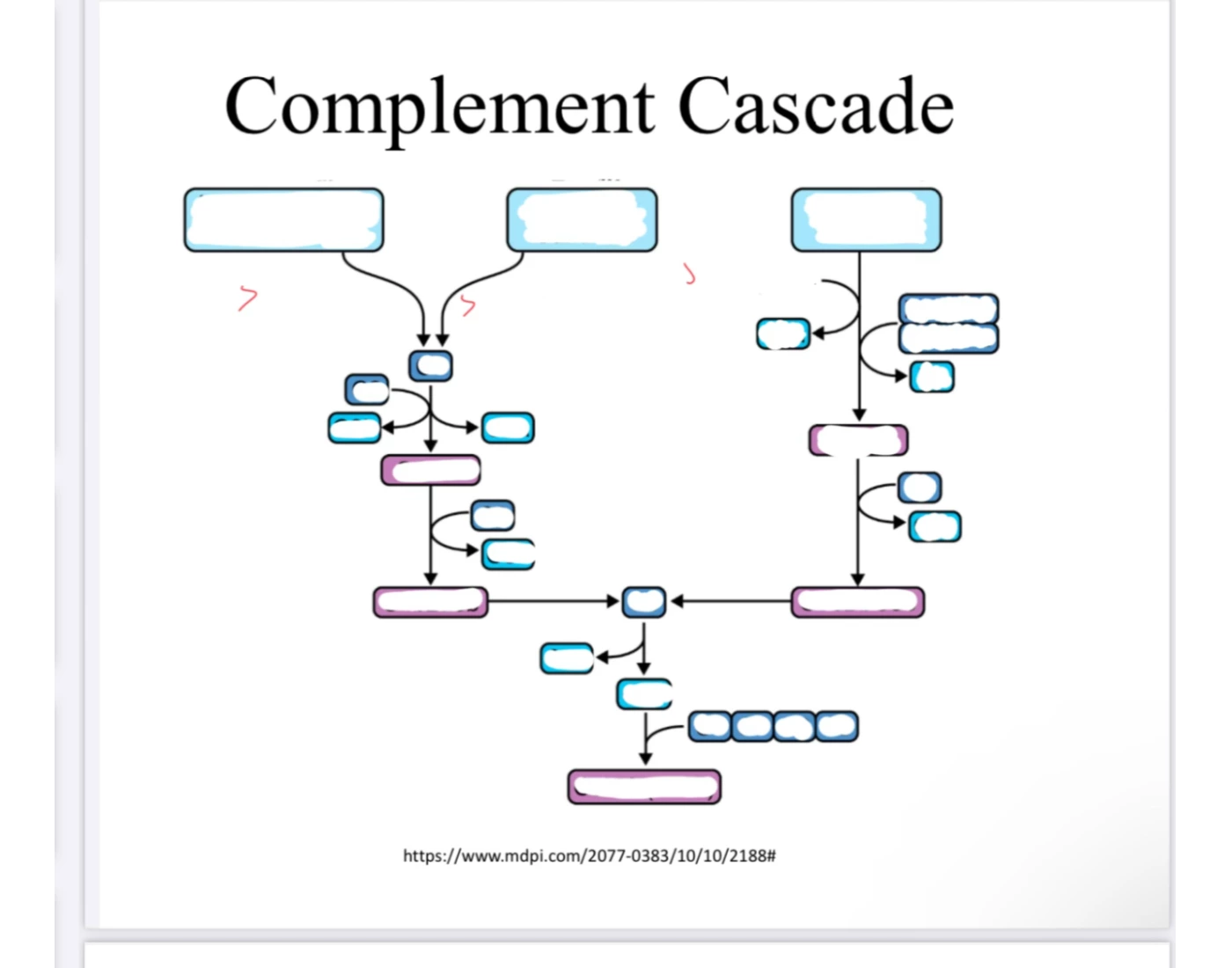 Complement Cascade.: — Printable Worksheet