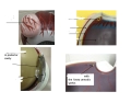 Eye Model For Lab eye model 1 — Printable Worksheet