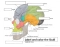 Earth Rotation Adding Day The Skull in Lateral View Quiz
