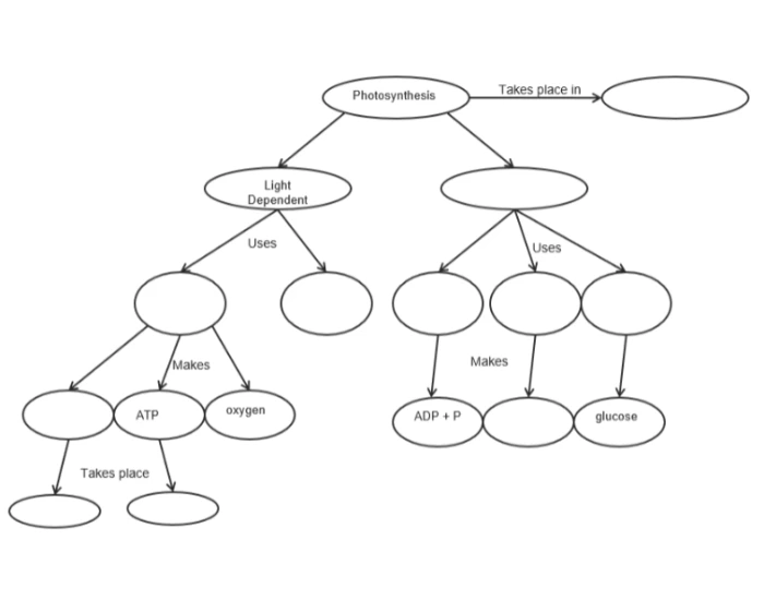 Free Printable Verse Map.pdf Photosynthesis Mind Map - General Biology 1 — Printable Worksheet
