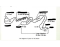 Digective System Worksheet Anatomy of Equine GI Tract Quiz