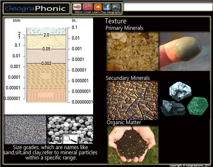 Trivia Texture Texture | Quiz